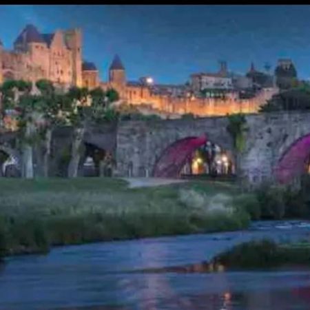 Appartement T2 Avec Vue Chateau Carcassonne Exterior photo