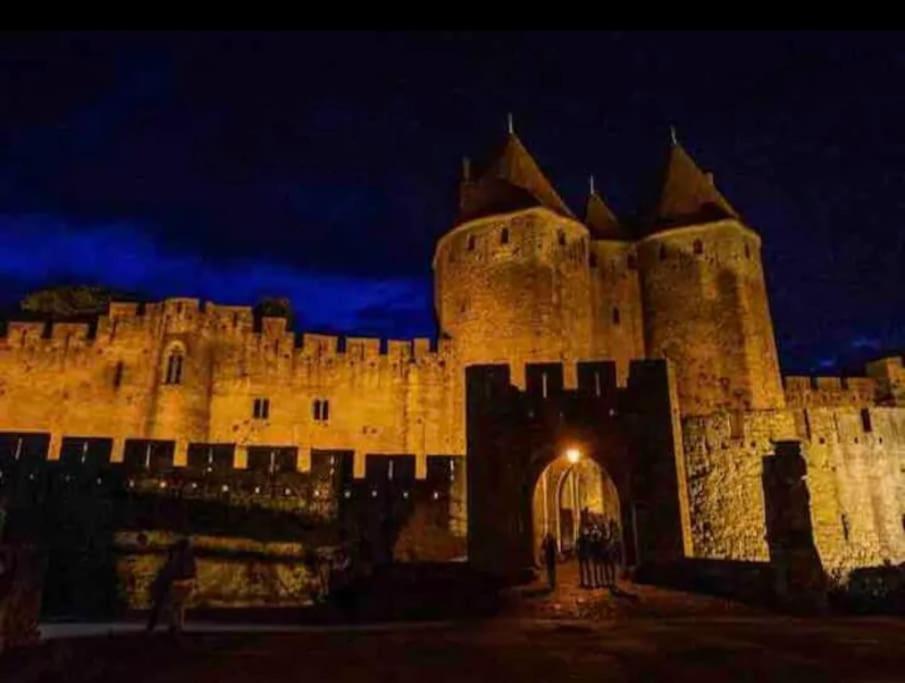 Appartement T2 Avec Vue Chateau Carcassonne Exterior photo