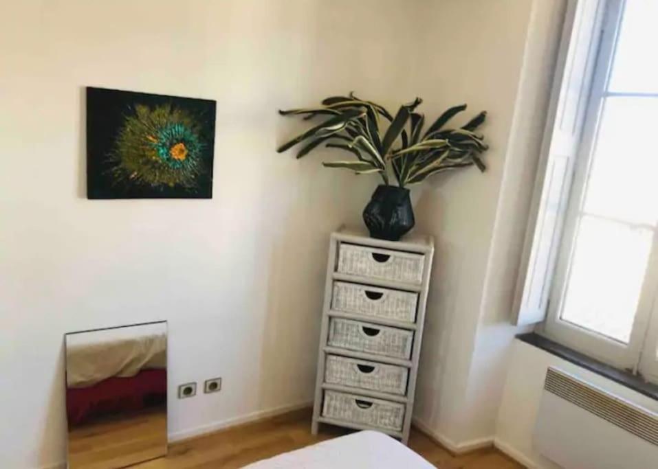 Appartement T2 Avec Vue Chateau Carcassonne Exterior photo